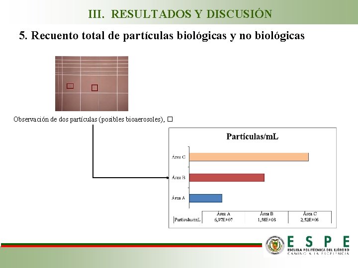 III. RESULTADOS Y DISCUSIÓN 5. Recuento total de partículas biológicas y no biológicas Observación