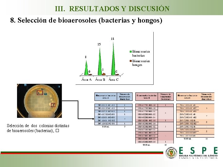 III. RESULTADOS Y DISCUSIÓN 8. Selección de bioaerosoles (bacterias y hongos) Selección de dos