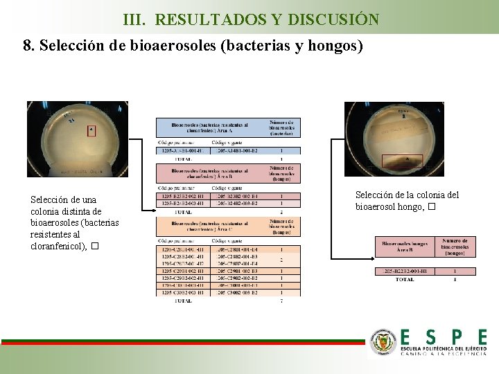 III. RESULTADOS Y DISCUSIÓN 8. Selección de bioaerosoles (bacterias y hongos) Selección de una