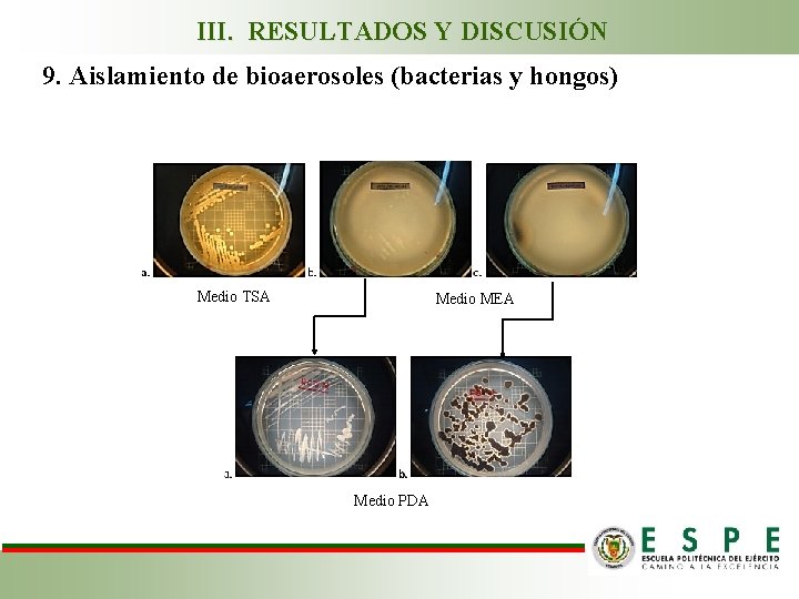 III. RESULTADOS Y DISCUSIÓN 9. Aislamiento de bioaerosoles (bacterias y hongos) Medio TSA Medio