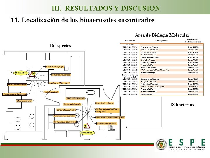 III. RESULTADOS Y DISCUSIÓN 11. Localización de los bioaerosoles encontrados Área de Biología Molecular