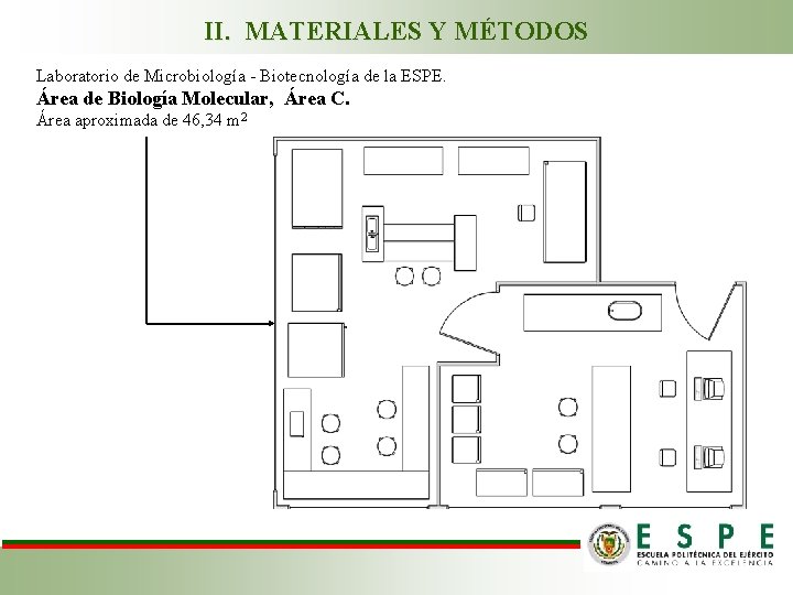 II. MATERIALES Y MÉTODOS Laboratorio de Microbiología - Biotecnología de la ESPE. Área de