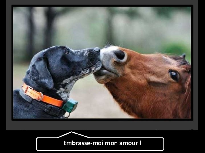 Embrasse-moi mon amour ! 