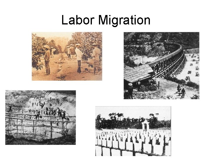 Labor Migration 