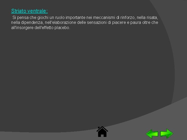 Striato ventrale: Si pensa che giochi un ruolo importante nei meccanismi di rinforzo, nella