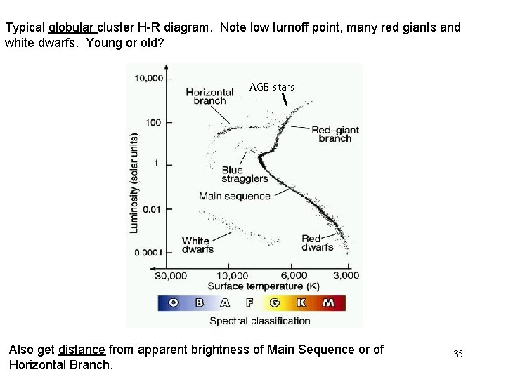 Typical globular cluster H-R diagram. Note low turnoff point, many red giants and white