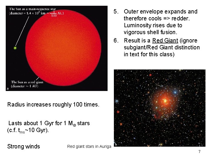 5. Outer envelope expands and therefore cools => redder. Luminosity rises due to vigorous