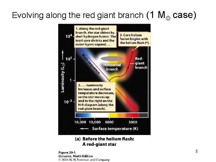 Evolving along the red giant branch (1 M case) 8 