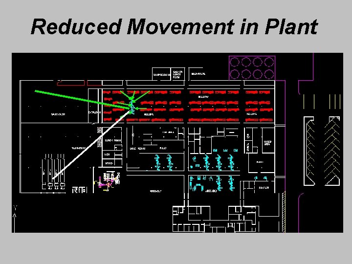 Reduced Movement in Plant 
