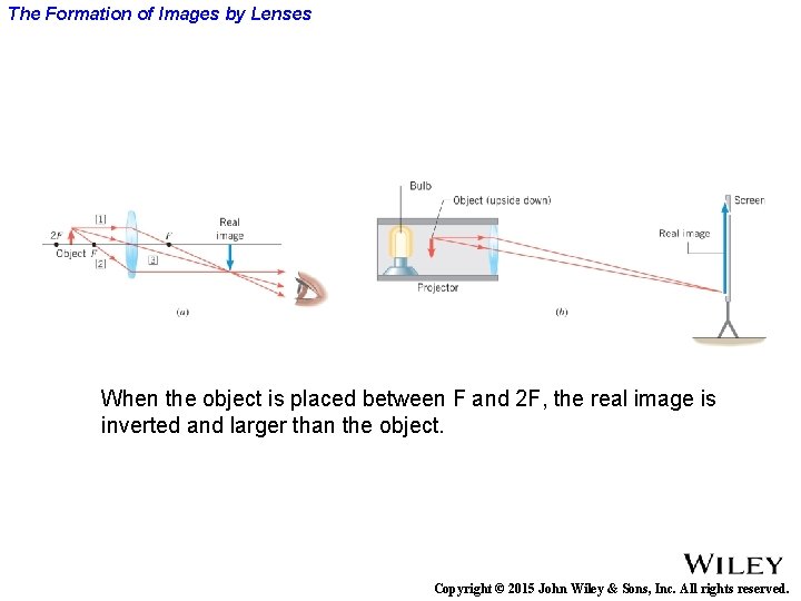 The Formation of Images by Lenses When the object is placed between F and