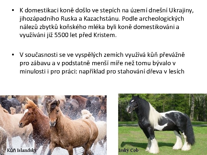  • K domestikaci koně došlo ve stepích na území dnešní Ukrajiny, jihozápadního Ruska