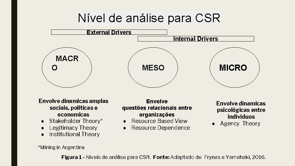 Nível de análise para CSR External Drivers MACR O Envolve dinamicas amplas sociais, politicas