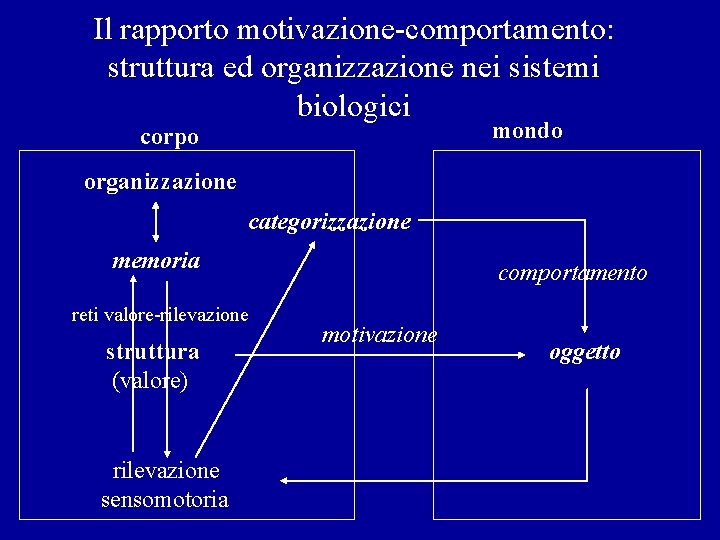 Il rapporto motivazione-comportamento: struttura ed organizzazione nei sistemi biologici mondo corpo organizzazione categorizzazione memoria