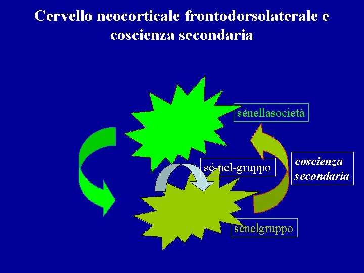 Cervello neocorticale frontodorsolaterale e coscienza secondaria sénellasocietà sé-nel-gruppo sènelgruppo coscienza secondaria 