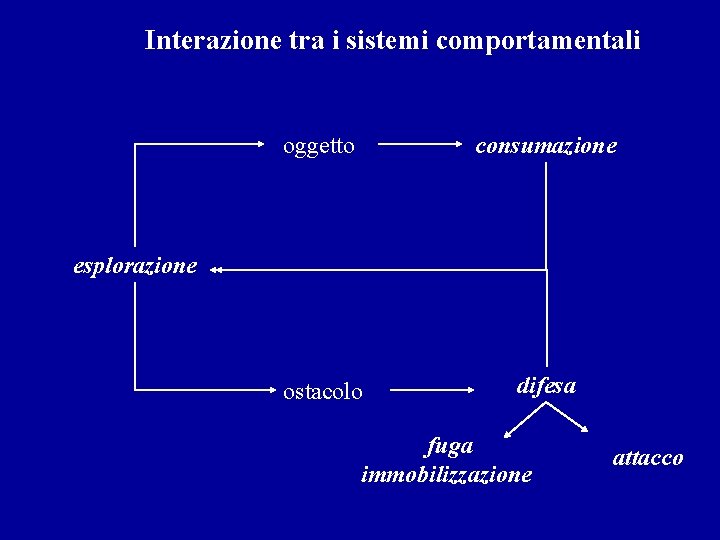 Interazione tra i sistemi comportamentali oggetto consumazione ostacolo difesa esplorazione fuga immobilizzazione attacco 