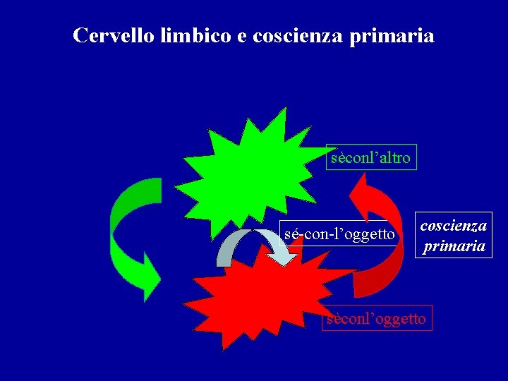 Cervello limbico e coscienza primaria sèconl’altro sé-con-l’oggetto coscienza primaria sèconl’oggetto 