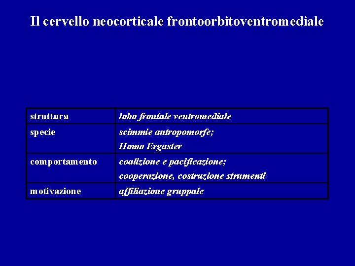 Il cervello neocorticale frontoorbitoventromediale struttura lobo frontale ventromediale specie scimmie antropomorfe; Homo Ergaster comportamento