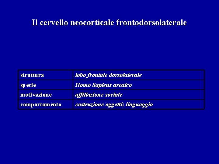 Il cervello neocorticale frontodorsolaterale struttura lobo frontale dorsolaterale specie Homo Sapiens arcaico motivazione affiliazione