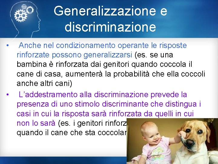 Generalizzazione e discriminazione • Anche nel condizionamento operante le risposte rinforzate possono generalizzarsi (es.