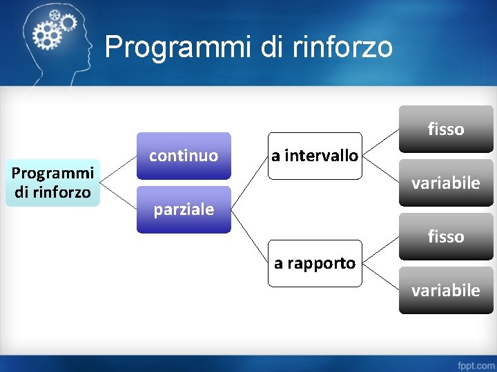 Programmi di rinforzo fisso Programmi di rinforzo continuo a intervallo variabile parziale fisso a