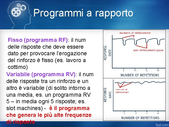 Programmi a rapporto Fisso (programma RF): il num delle risposte che deve essere dato