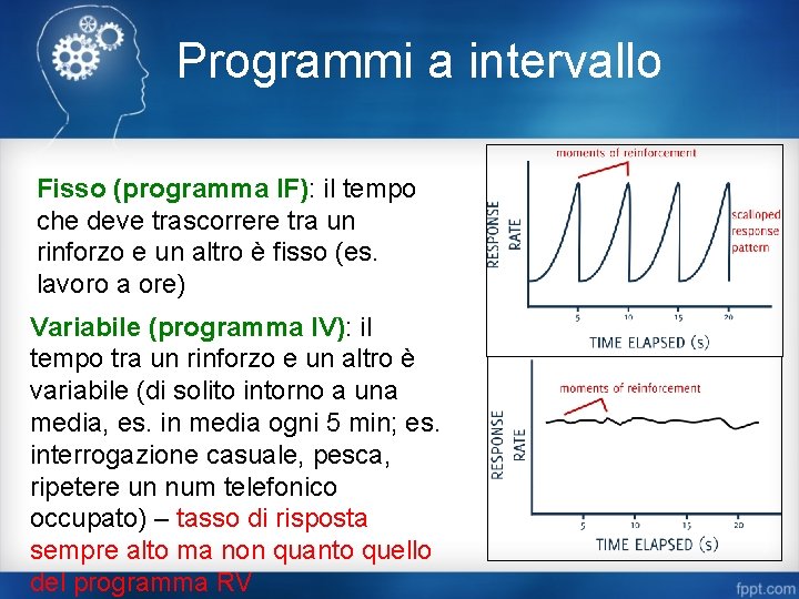 Programmi a intervallo Fisso (programma IF): il tempo che deve trascorrere tra un rinforzo