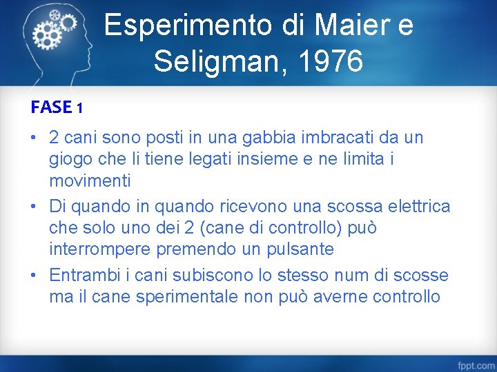 Esperimento di Maier e Seligman, 1976 FASE 1 • 2 cani sono posti in