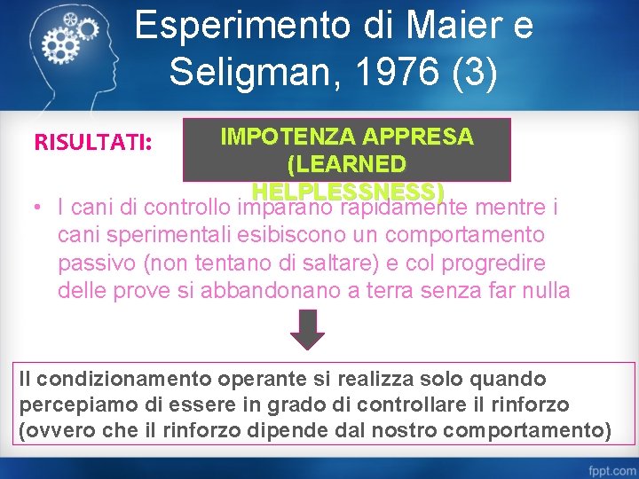 Esperimento di Maier e Seligman, 1976 (3) IMPOTENZA APPRESA (LEARNED HELPLESSNESS) • I cani