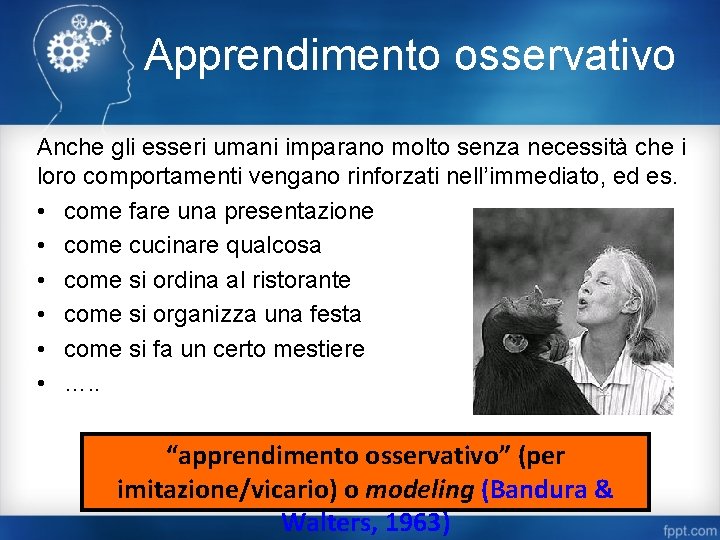 Apprendimento osservativo Anche gli esseri umani imparano molto senza necessità che i loro comportamenti