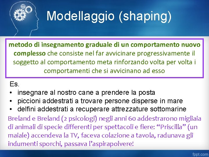 Modellaggio (shaping) metodo di insegnamento graduale di un comportamento nuovo complesso che consiste nel