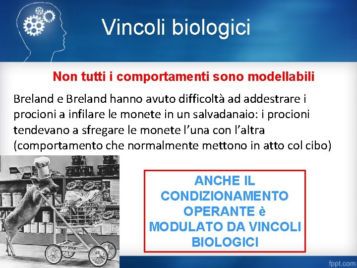 Vincoli biologici Non tutti i comportamenti sono modellabili Breland e Breland hanno avuto difficoltà