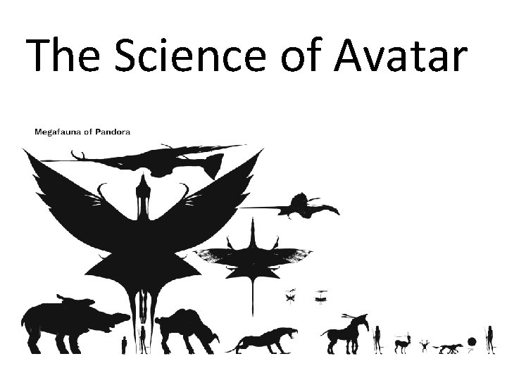 The Science of Avatar 