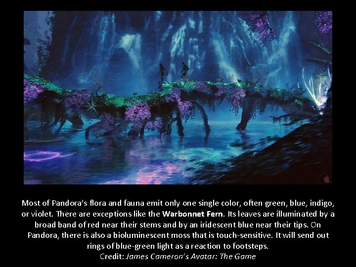 Most of Pandora’s flora and fauna emit only one single color, often green, blue,