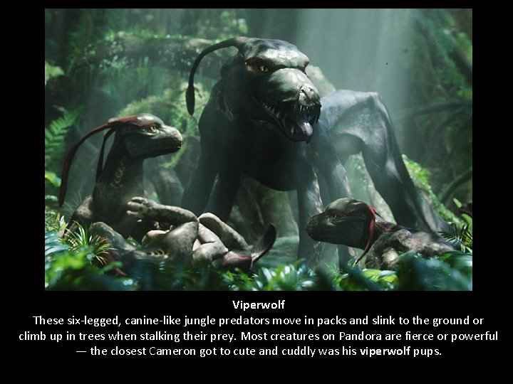 Viperwolf These six-legged, canine-like jungle predators move in packs and slink to the ground