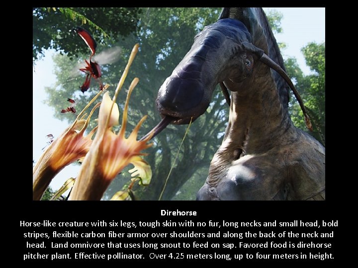 Direhorse Horse-like creature with six legs, tough skin with no fur, long necks and