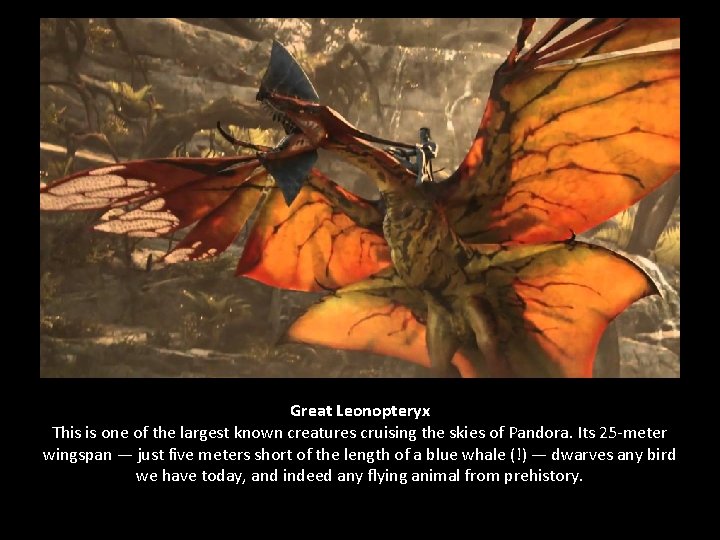 Great Leonopteryx This is one of the largest known creatures cruising the skies of
