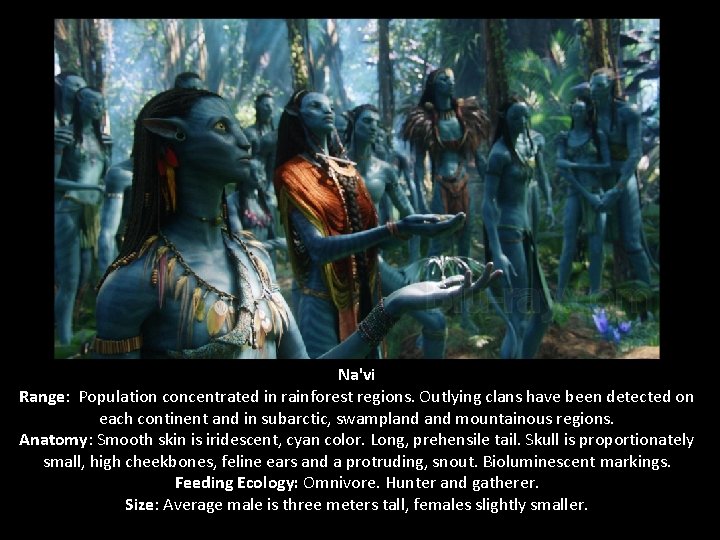 Na'vi Range: Population concentrated in rainforest regions. Outlying clans have been detected on each