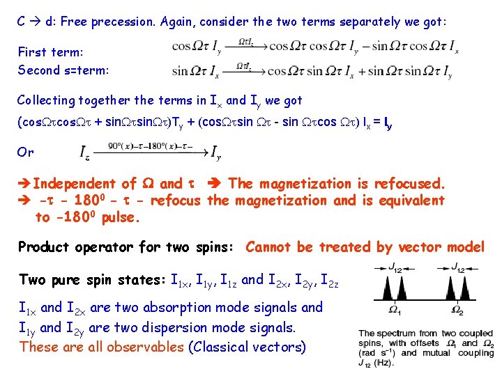 C d: Free precession. Again, consider the two terms separately we got: First term: