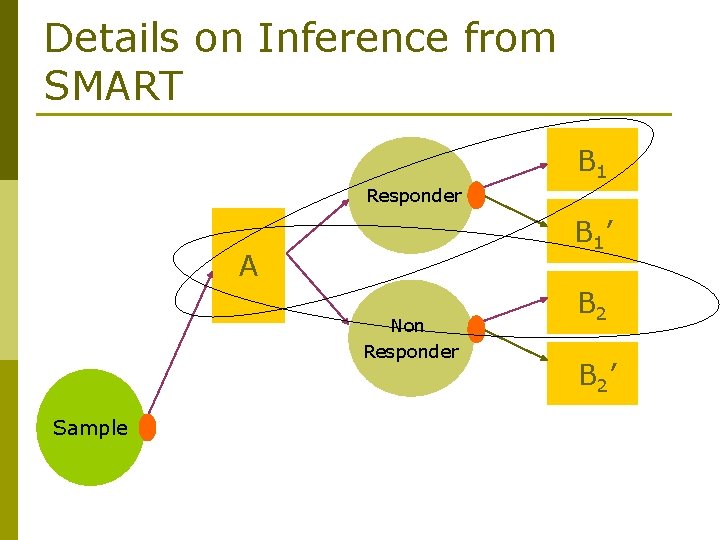 Details on Inference from SMART B 1 Responder B 1’ A Non Responder Sample