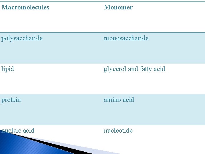 Macromolecules Monomer polysaccharide monosaccharide lipid glycerol and fatty acid protein amino acid nucleic acid