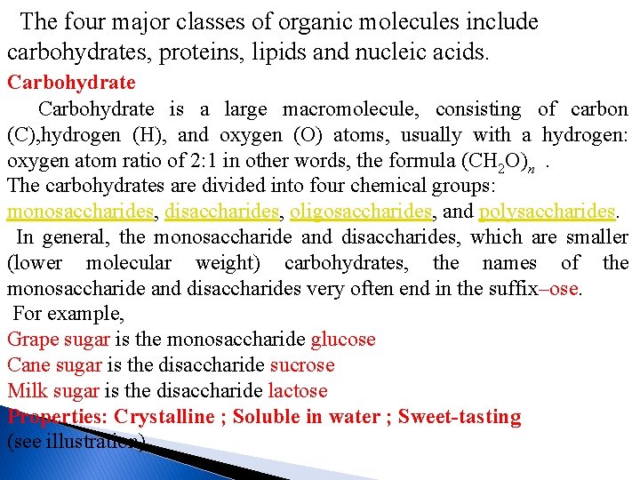  The four major classes of organic molecules include carbohydrates, proteins, lipids and nucleic
