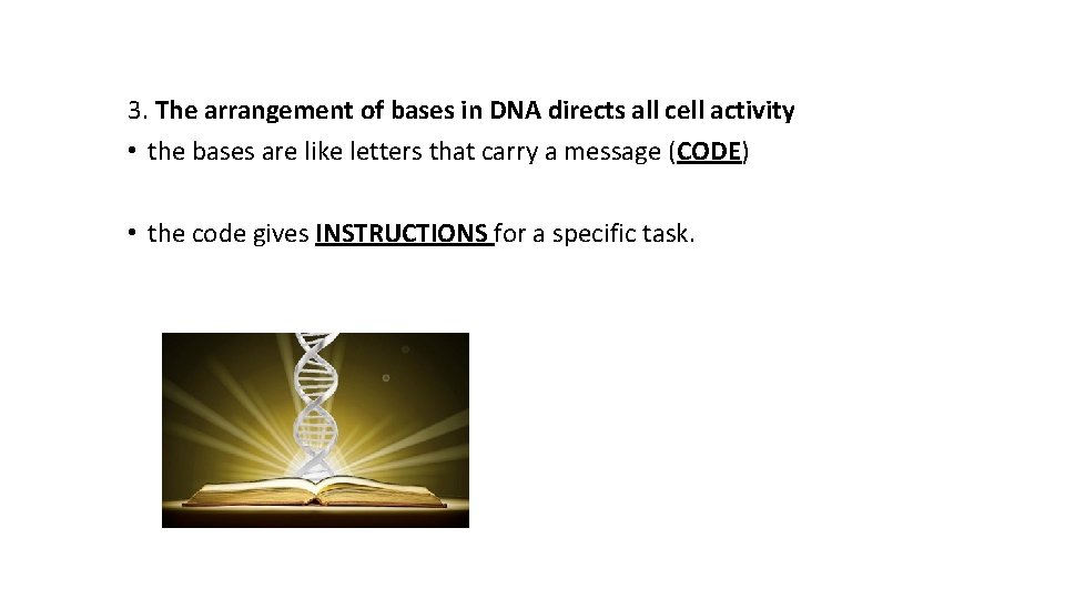 3. The arrangement of bases in DNA directs all cell activity • the bases