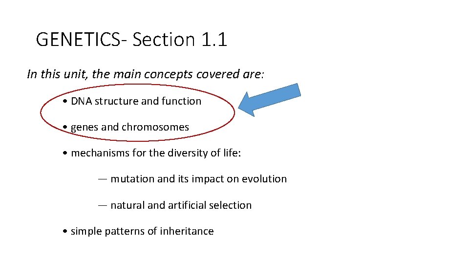 GENETICS- Section 1. 1 In this unit, the main concepts covered are: • DNA
