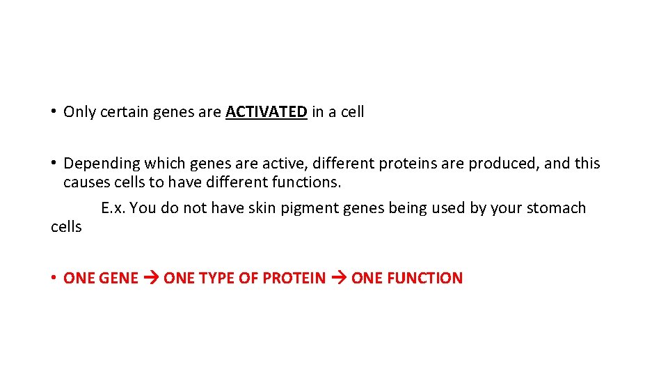  • Only certain genes are ACTIVATED in a cell • Depending which genes