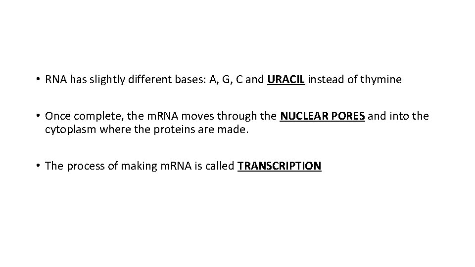  • RNA has slightly different bases: A, G, C and URACIL instead of
