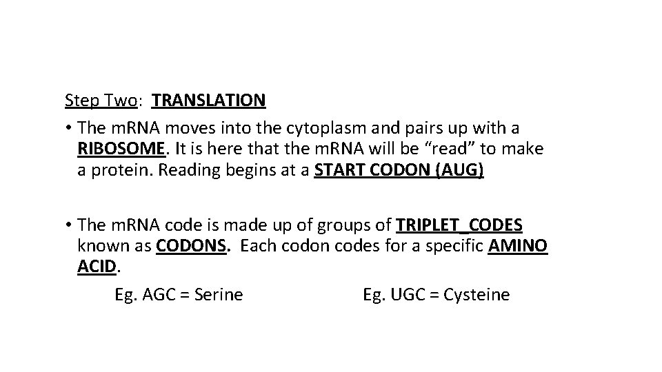 Step Two: TRANSLATION • The m. RNA moves into the cytoplasm and pairs up