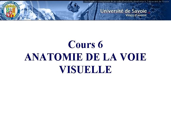 Cours 6 ANATOMIE DE LA VOIE VISUELLE 