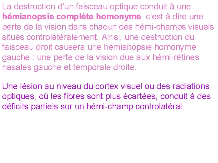 La destruction d’un faisceau optique conduit à une hémianopsie complète homonyme, c’est à dire