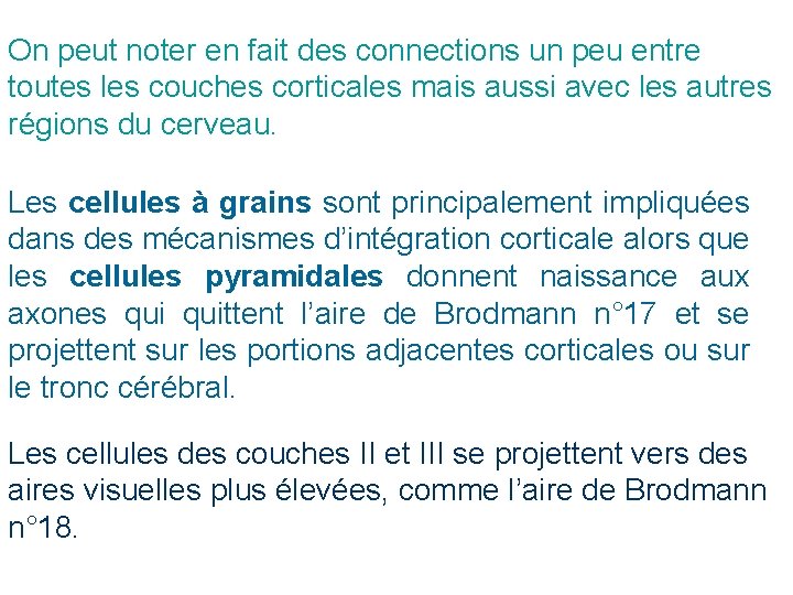 On peut noter en fait des connections un peu entre toutes les couches corticales