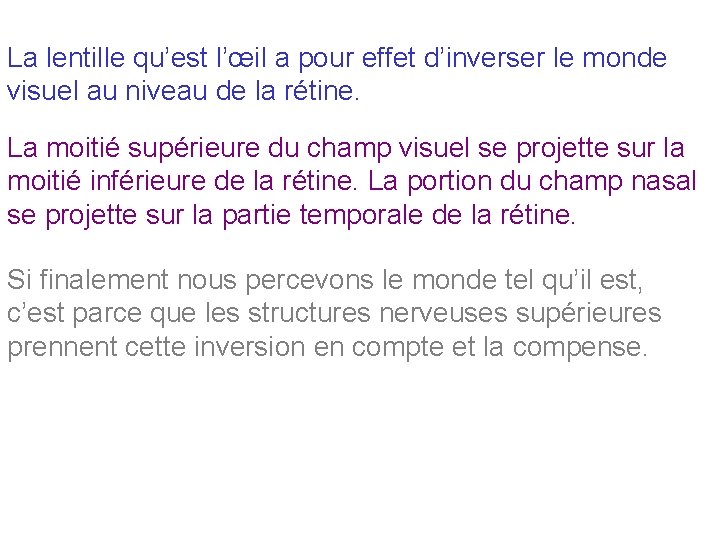 La lentille qu’est l’œil a pour effet d’inverser le monde visuel au niveau de